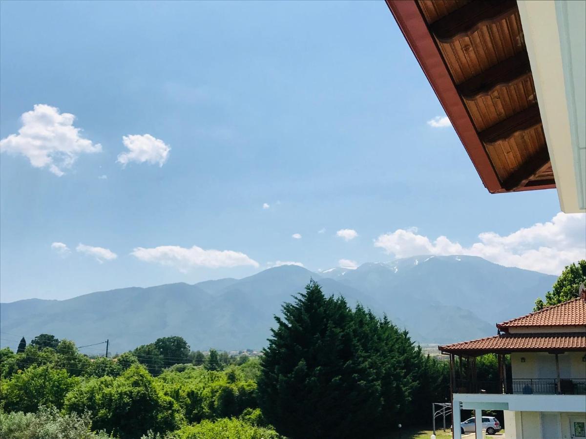 Dimeli 1 Daire Plaka Litochoro Dış mekan fotoğraf